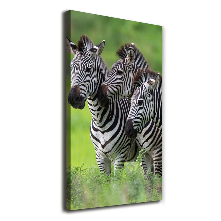 Ebern Designs Three Zebras Wrapped Canvas Art Prints Wayfair.co.uk